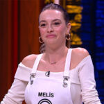 melis_web_12126440256903ec6e854d7